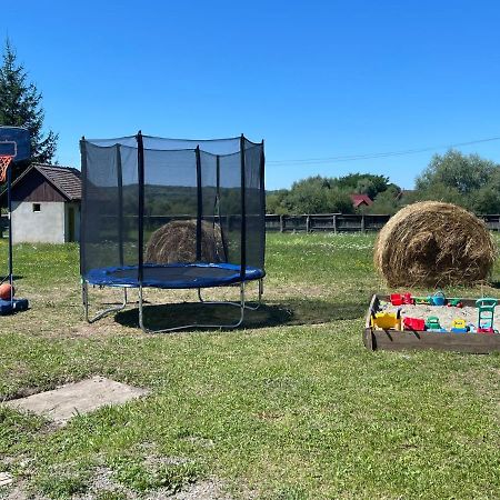 Pensiunea Ducu Scoreiu Exteriör bild