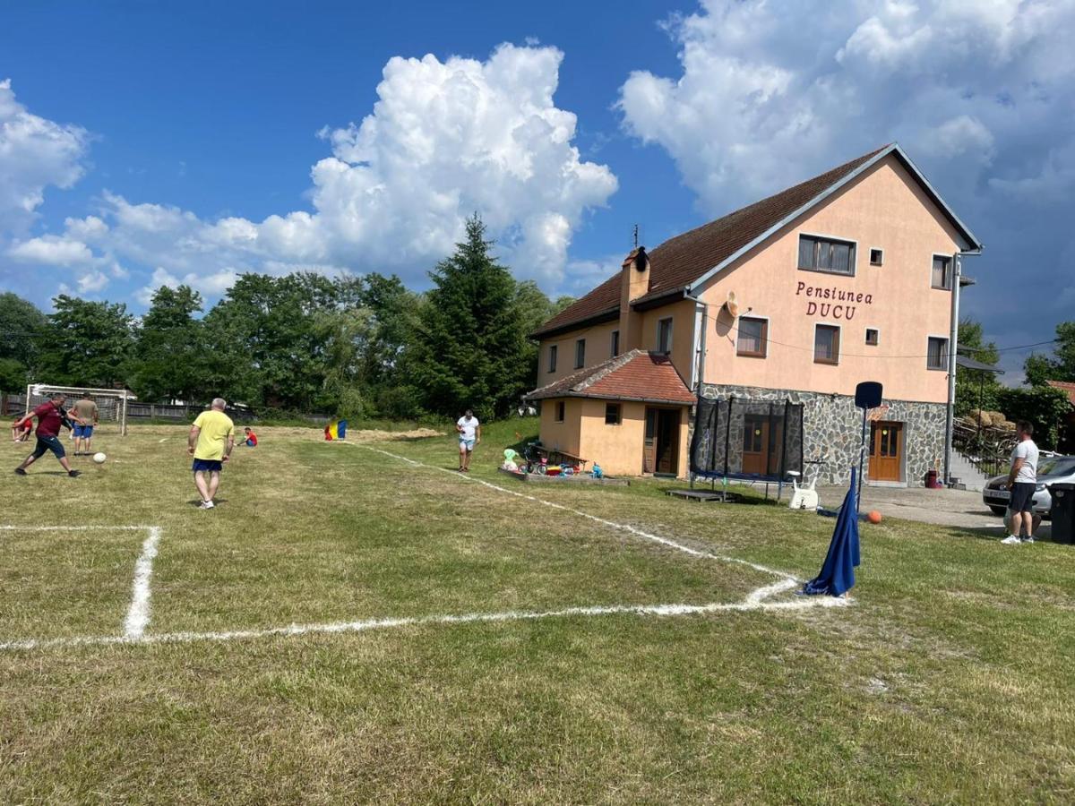 Pensiunea Ducu Scoreiu Rum bild